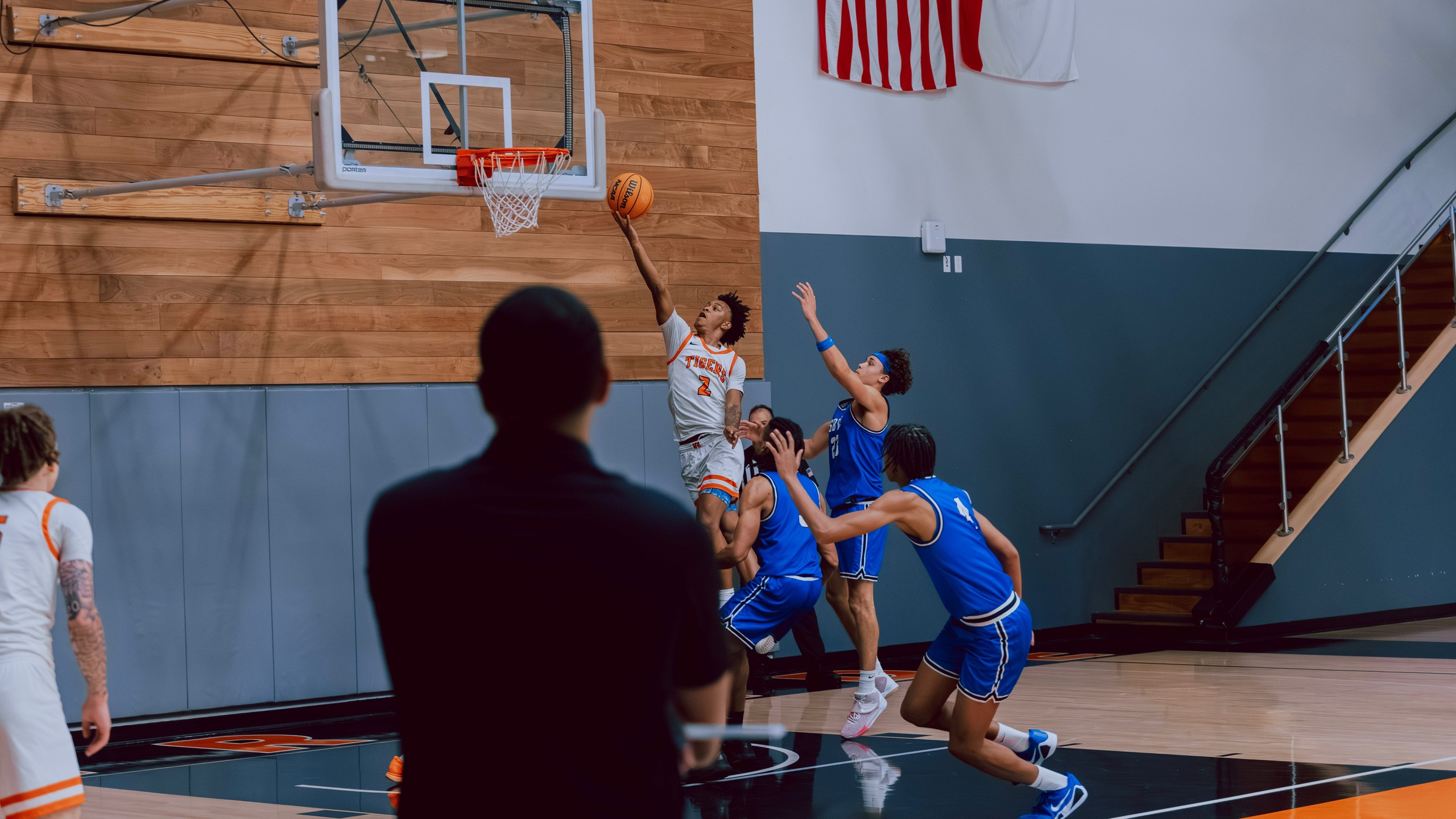 Tigers Take Down Bobcats in Cat Fight