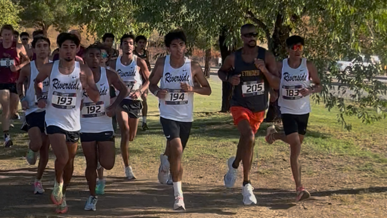 Tigers Show Improvement in Longer Race