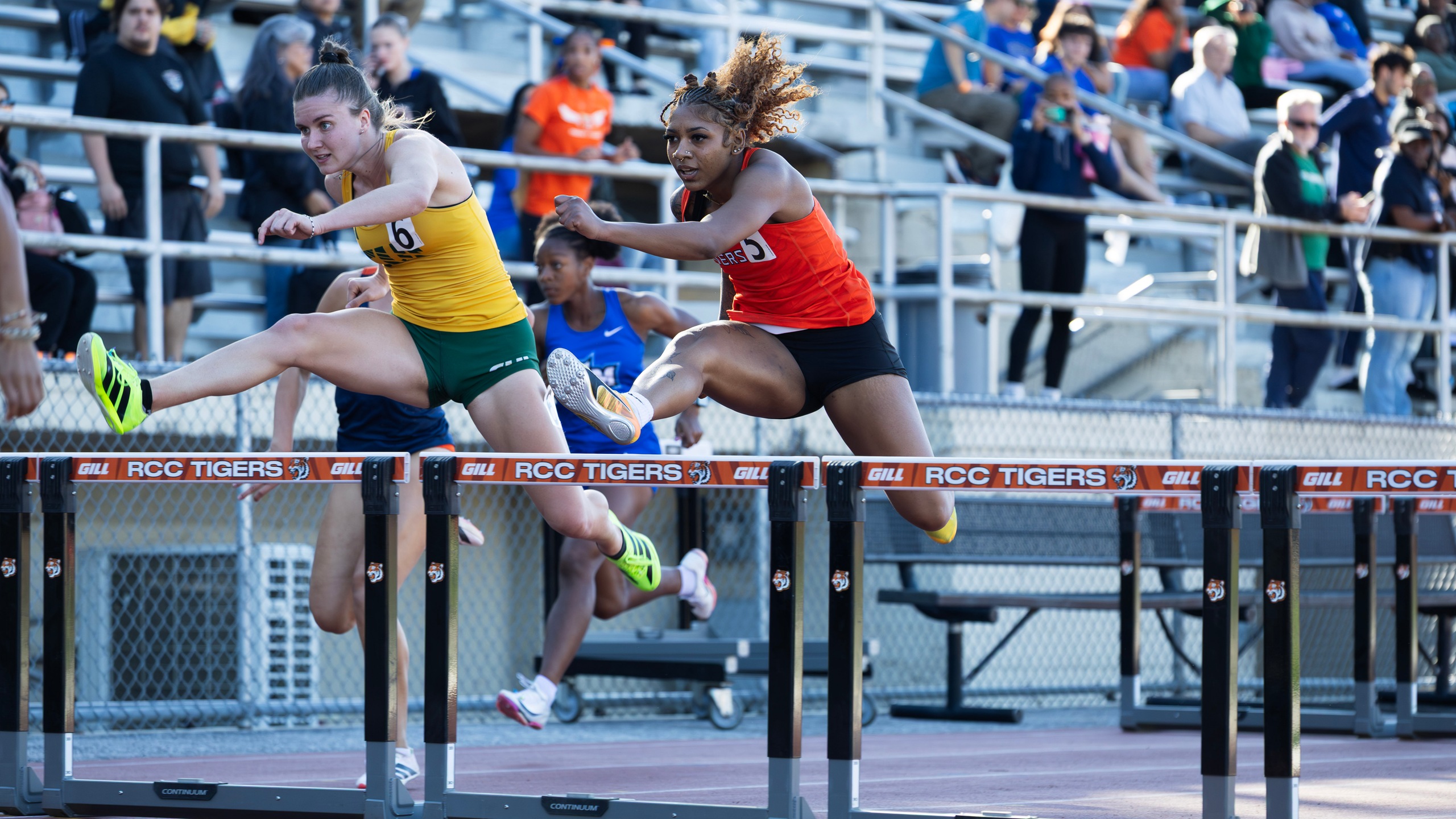 Women's hurdlers jump over hurdles as they race to the finish
