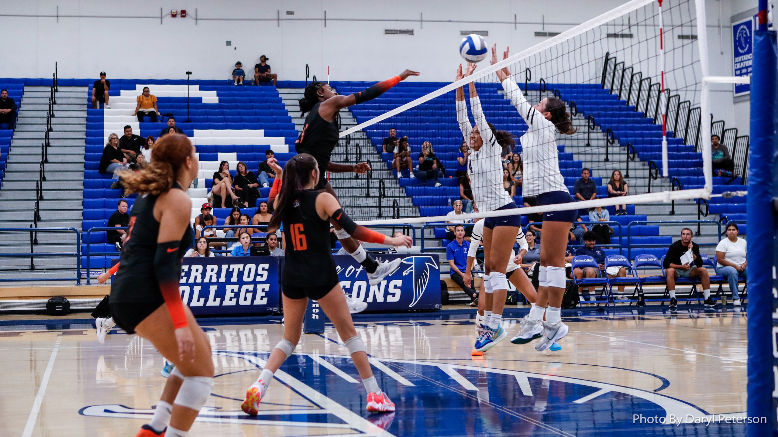Tigers Fall to Falcons